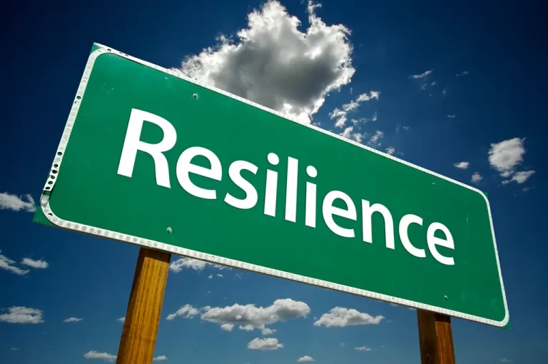 exemples de résilience